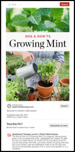 An example of a well-designed Pin. Notice the vertical aspect ratio, mix of images and text to give context, and a detailed Pin description.